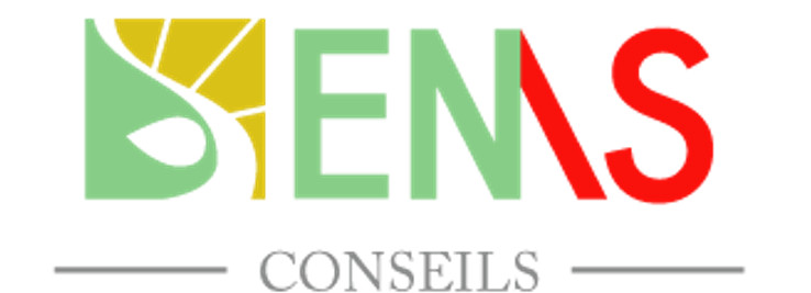SEMS Conseils